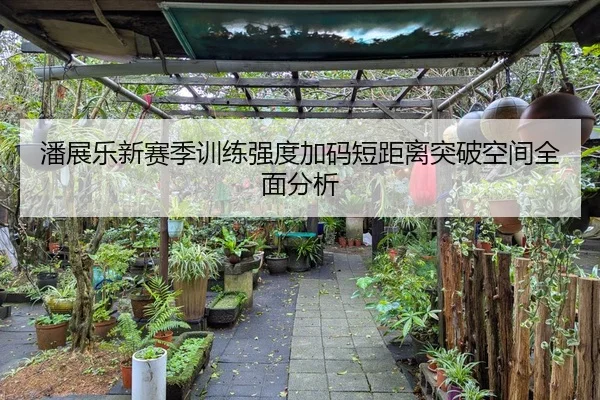 潘展乐新赛季训练强度加码短距离突破空间全面分析